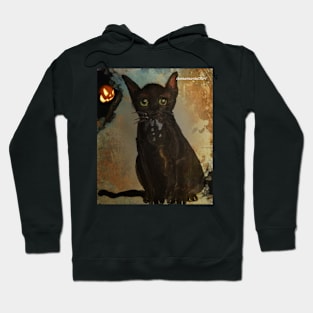 Cat Hoodie